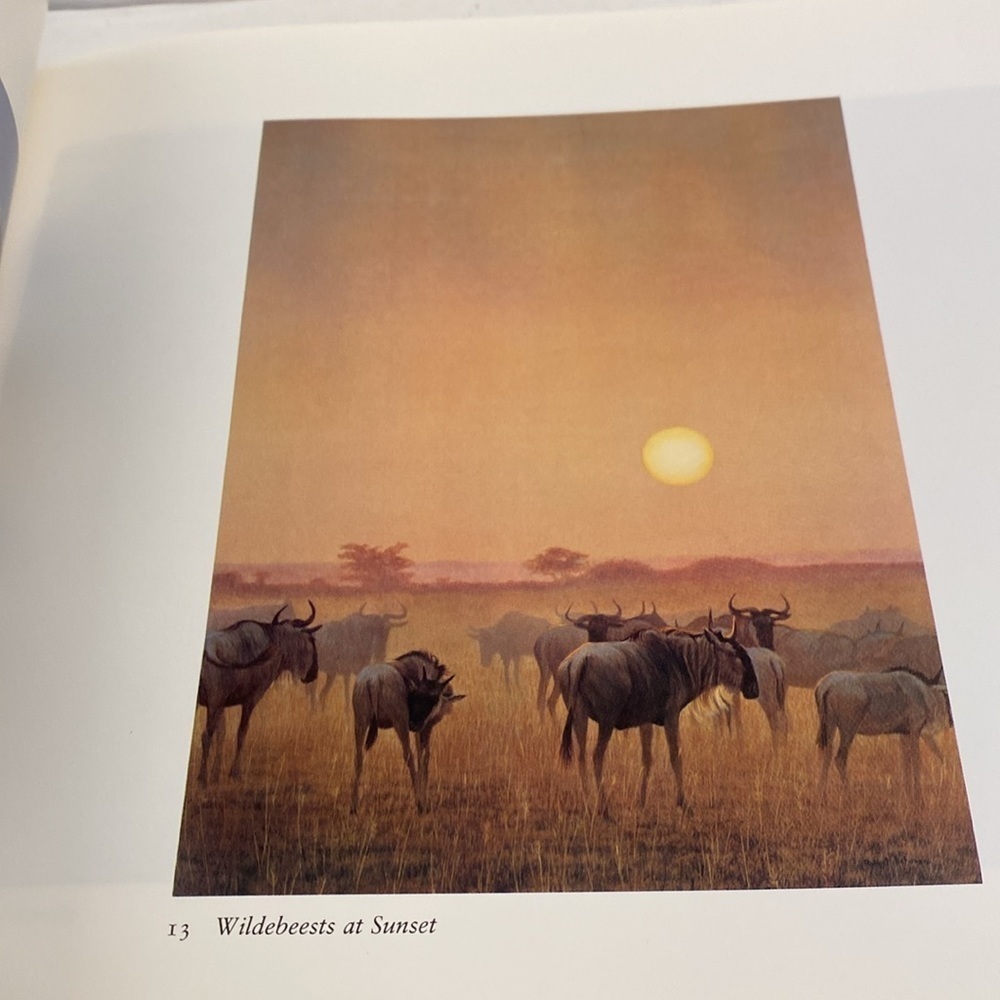 Portraits of nature paintings by Robert Bateman book - Picture 10 of 13